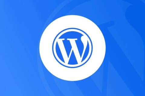 WordPress 6.1.1 维护版本